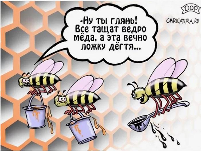 анекдоты про мед