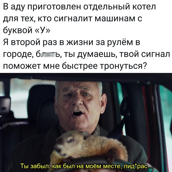 Прикольная картинка с надписью