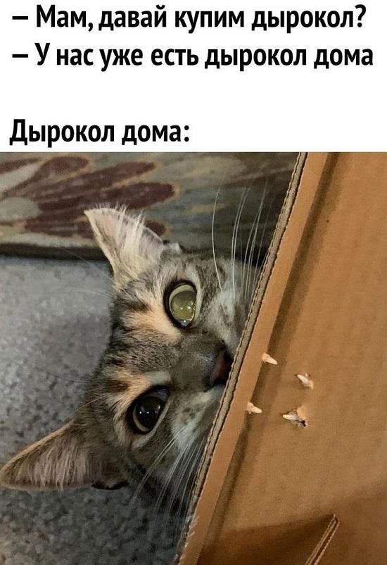 Прикольная картинка