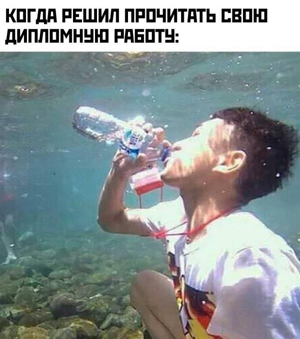 Прикольная картинка