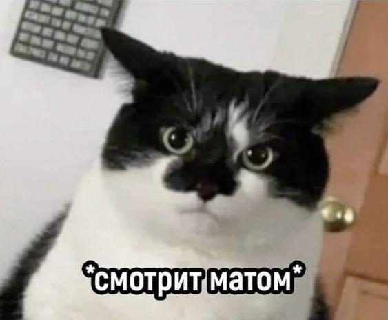 Прикольная картинка