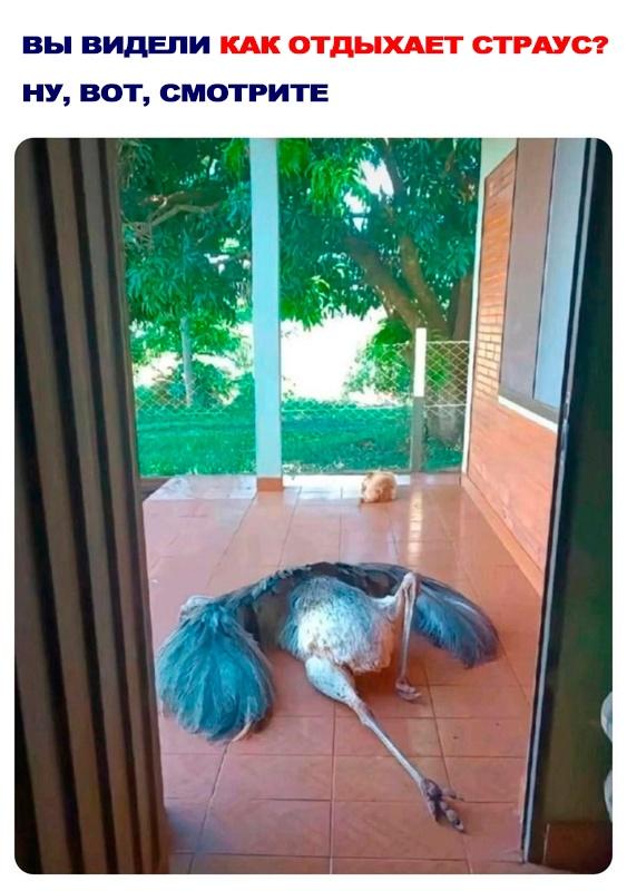 Прикольная картинка