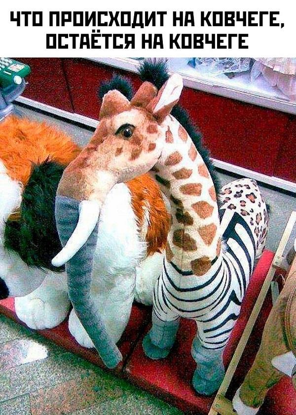 Смешная картинка