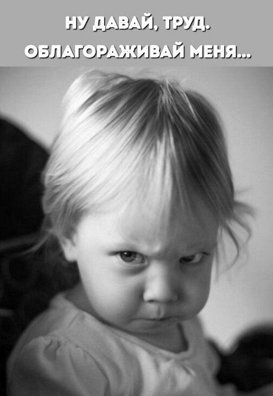 Смешная картинка