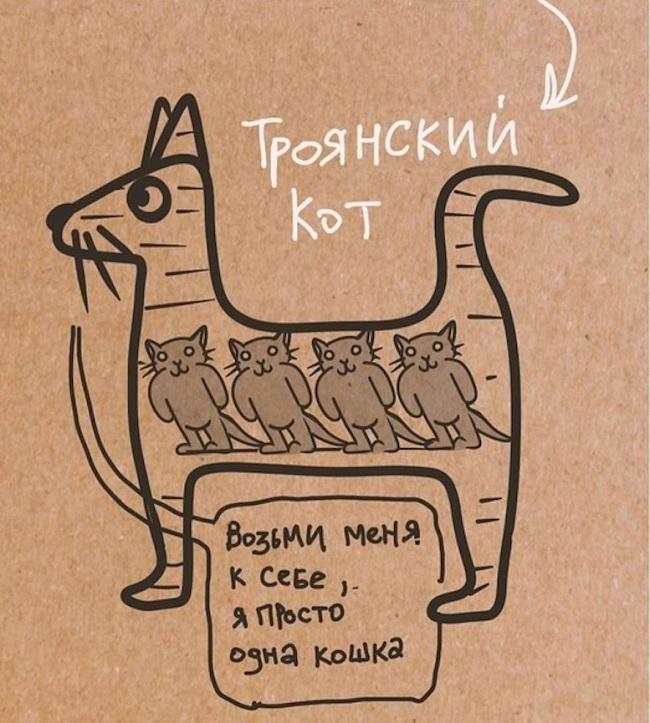 Смешная картинка