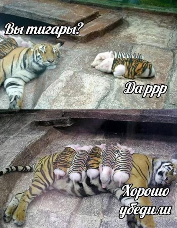 Прикольная картинка с надписью